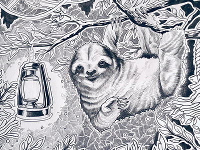 Curious Sloth doodle illlustration ink pencil sketch sloth