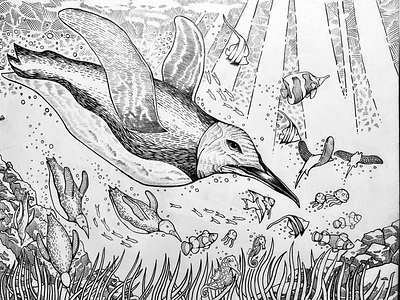 Penguin // Spheniscidae // 🐧 doodle illustration ink nature pencil penguin sketchbook
