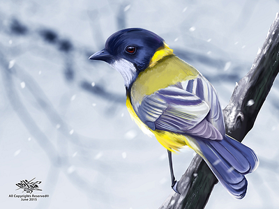 Winter Bird - Digital Painting bird cute digital painting painting photoshop sketching winter