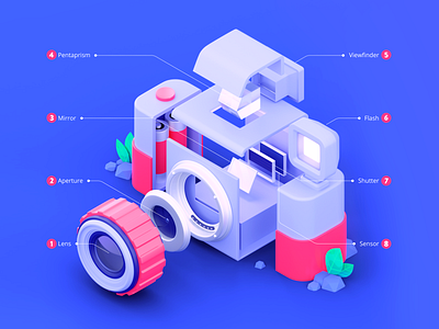 Looking Behind a Camera | Infographic 3d blender camera cute graphic design illustration infographic isometric photography