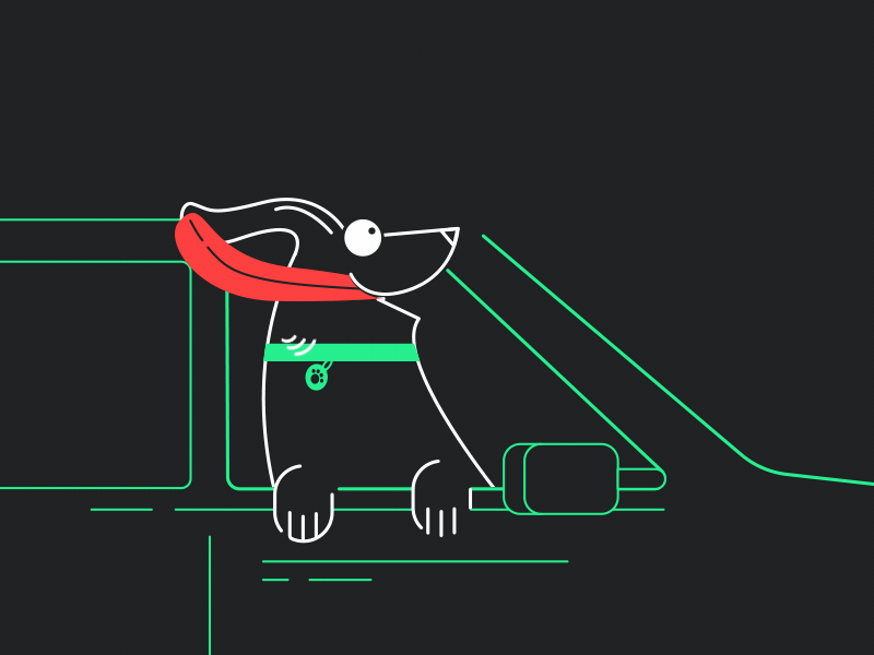 Dog's trip trip road funny tongue wind character motiondesignschool car dog