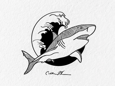 Shark Week digital digital art drawing illustration ui vector