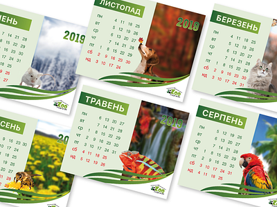 Calendar calendar calendar 2019 календарь