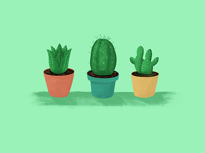 Happy Cactus Friends apple pencil cactus design draw drawing green illustration illustrator ipad nature plant procreate