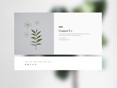 Book of Plants (3) minimalism minimalist mobile ui uiux ux web
