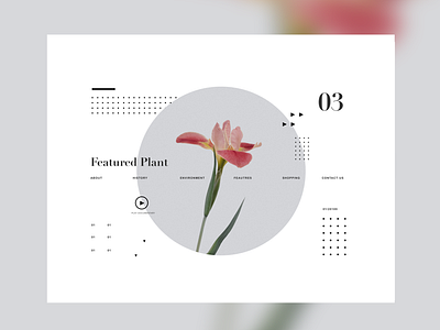 Book of Plants (4) minimalism minimalist mobile ui uiux ux web