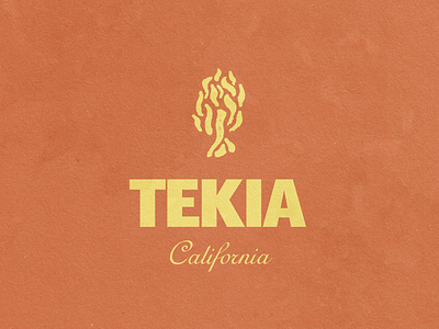Tekia brand identity branding design illustration logo minimal