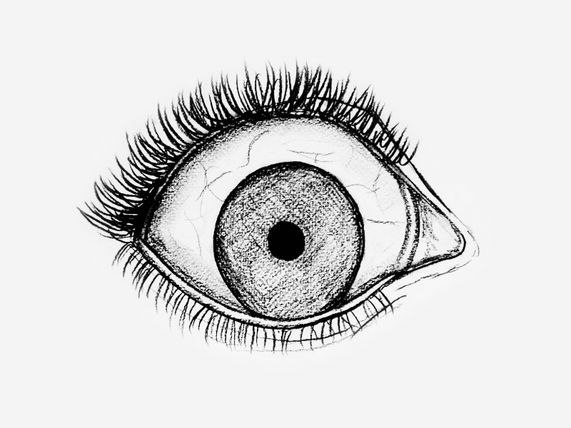 simple eye drawing hand draw animation