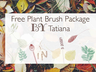 Plant Brush Package autumn brushes leaves nature photoshop brushes ressources