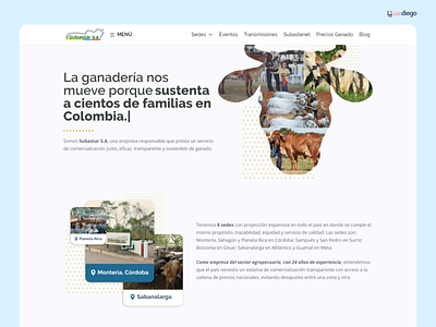 Website para Subastar S.A - Colombia