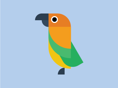 Kea birds flat illustration
