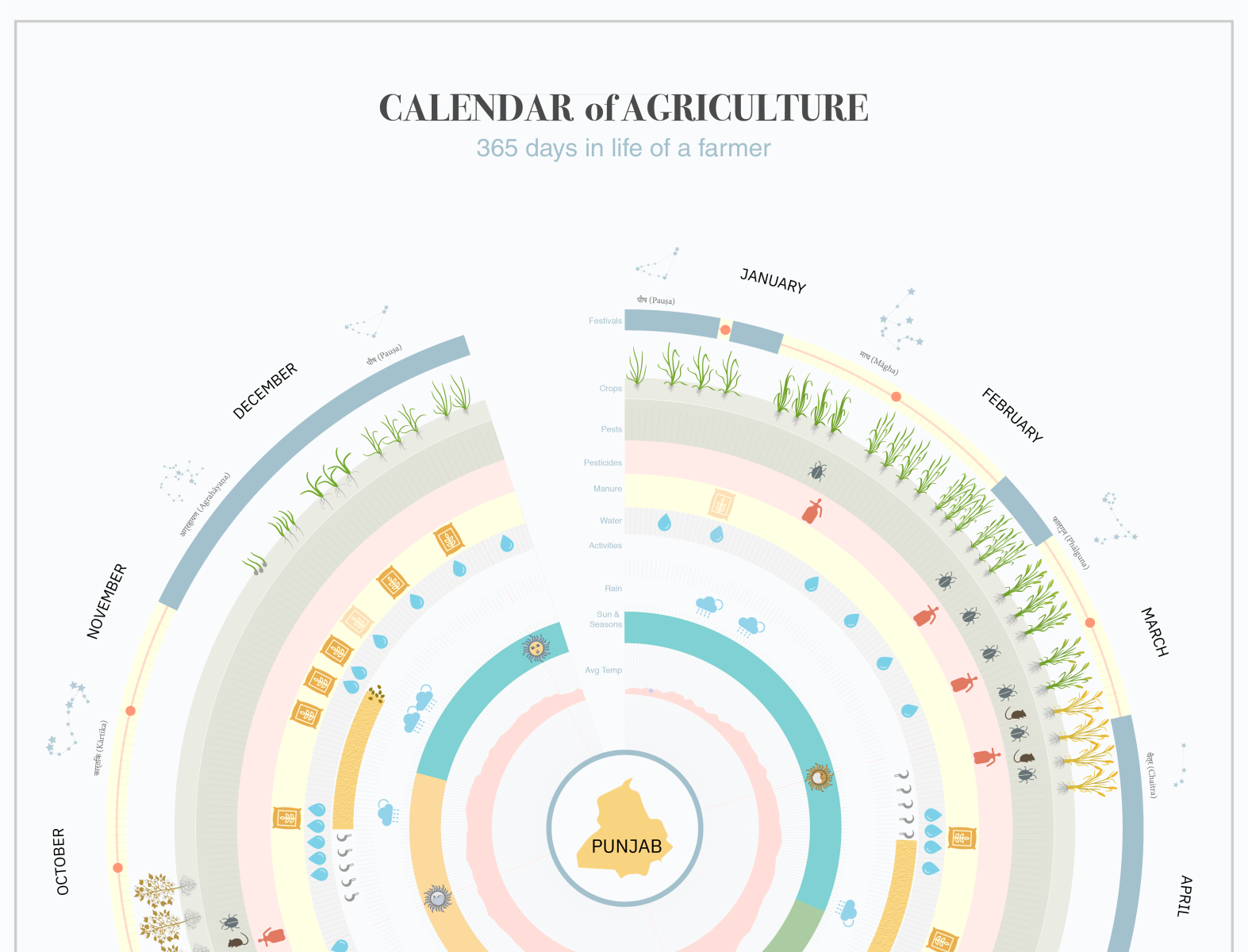 Agriculture Calendar by Ipsha Chaudhary on Dribbble