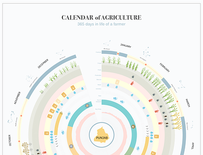 Agriculture Calendar dataviz design illustration informationdesign vector