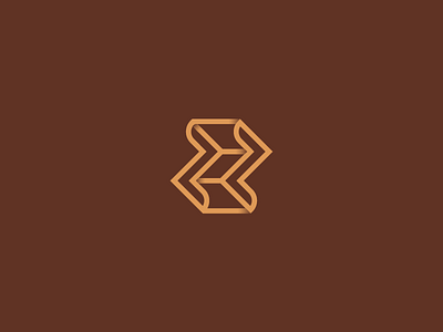 Studying the letter Z detail home decor logo logotype space