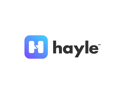 Hayle - Logo Design 2.0 app chat bubble h hayle hidden meaning ice icon identity logo logotype mark text box