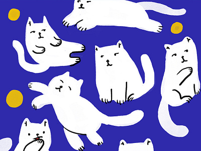 The ways of my cat cat doodle gnocchi illustration