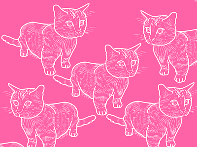 kinny crossing applepencil cats drawingoftheday illustration ipadpro kittens pattern procreate