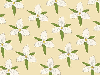 trillium pattern drawingoftheday illustration ipadpro applepencil pattern procreate trillium