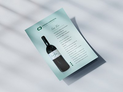 Chozas Carrascal Wine Producer / Print Flyer art direction branding brochure design elegant graphic design identity modern print visual