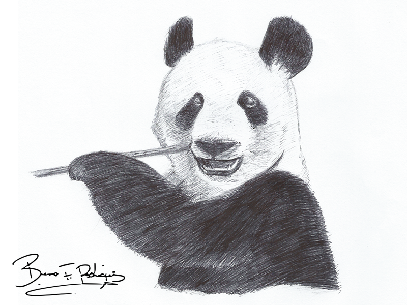 PANDA BEAR - Original Drawing – Shop Britto