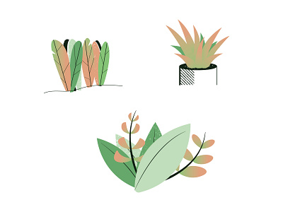 More Plants