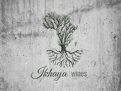 Ikhaya wines 2 africa grapes ikhaya illustration logo tree