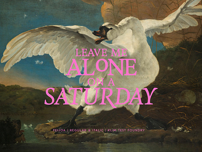 Leave Me Alone on a Saturday design graphic design illustration type typography