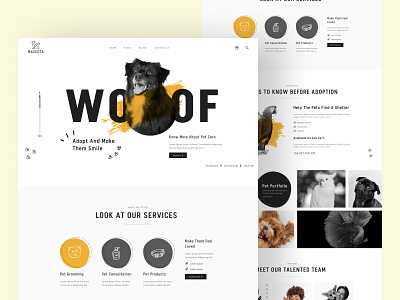 WordPress Theme For Petcare