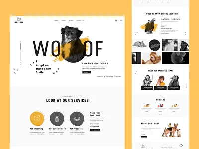 Free WordPress Theme For Petcare best wordpress theme branding design free wordpress theme landing page pet care pet lovers petcare design petcare theme petcare wordpress theme ui uidesign uiux ux design webdesign website design wordpress wordpress design wordpress theme wordpress website