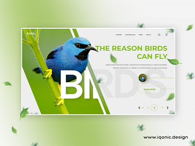 Website UI Design color design designer designs green iqonic design iqonicdesign neon template themes ui uidesign uiux webdesign website design