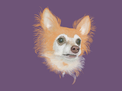 Charlie digital illustration dog dog portrait illustration ipad pet pet portrait pets procreate