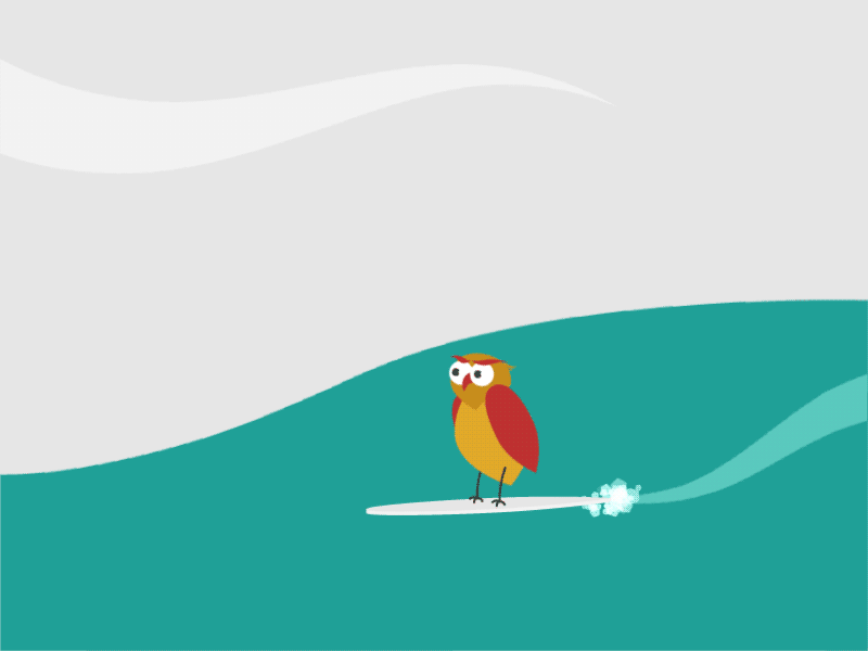 Ever seen a surfing owl! animation illustration ocean owl sea surfboard surfing