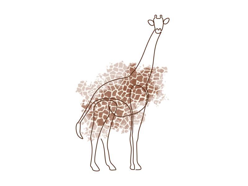 One line Giraffe animal animal print giraffe illustration one line single line