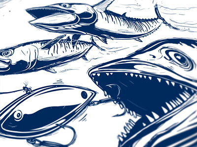 Sketching Kingfish fishing game fish illustration illustrator king mackerel line drawing lure ocean vector
