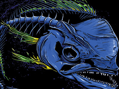 Dorado skeleton dolphin fish game fish. illustration mahi mahi skeleton vector