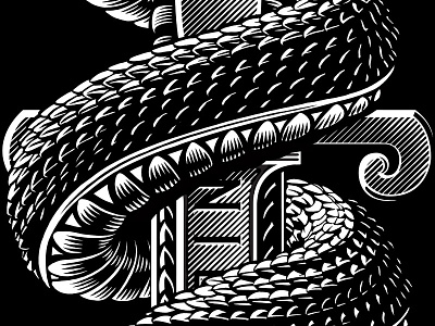 Snake Scales design illustration line work scales snake sword vector