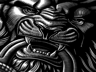 Details design etching illustration line work lion vector woodcut