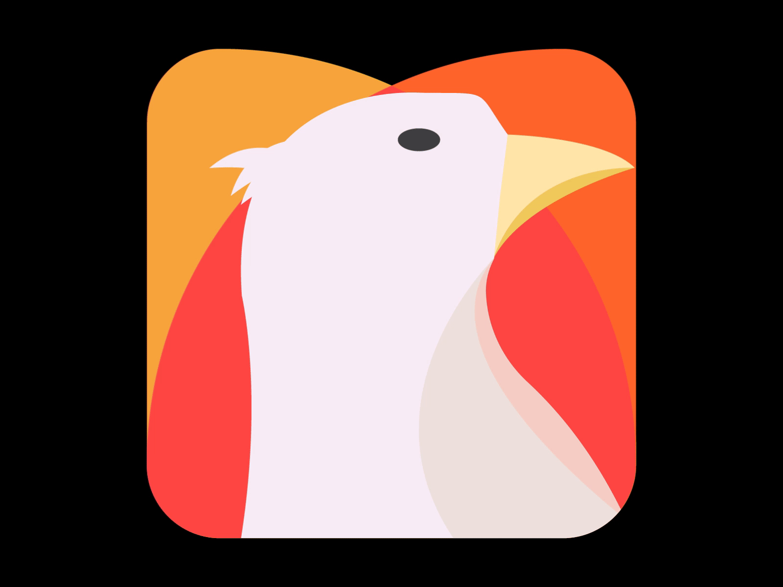 Pigeon - animation logo 🔥 2020 ae after effect animate bird brand branding design effect gif glitch illustration illustrator logo logo animation minimal motion pigeon simple ui