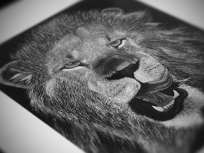 Lion Stippling animal beast drawing illustration illustrator lion paper pen scratchboard sketch stippling x acto