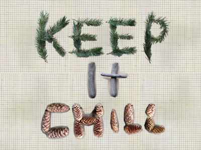 Keep It Chill collage design image collage nature nature type photography pine cones type typography