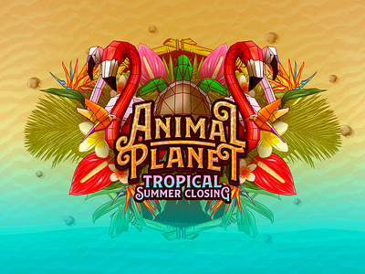 Animal Planet Tropical animal beach exotic hawaii holiday illustration summer tropical turtle zoo