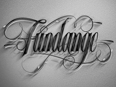 Fundango script font fundango letter lettering script typo typography