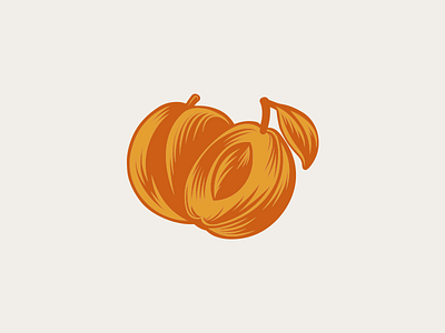 Apricot apricot emblem fruit icon illustration logo peach spirit taste vector