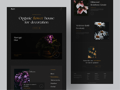 Flower House - Ecommerce Web Exploration ❤️❤️ app design creative design creative design dribbble best shot ios android interface landing page design minimal clean new trend modern design popular design popular dribbble shots popular trending graphics product design productdesign trending design trending ui webdesign website design