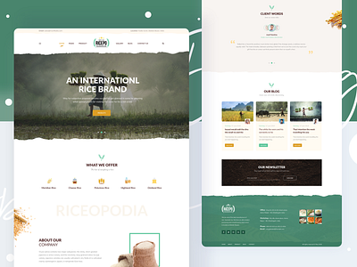 Ricepo - Rice Manufacturing Website Design corporate agency illustration dribbble best shot google analytics statistics icon vector blockchain ios android interface landing page design minimal clean new trend popular trending graphics saas b2b wordpress shopify ui ux kit pricing web app typography website homepage blog