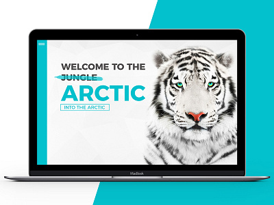Introscreen ARCTIC // Minimalistic Designstudio arctic fullscreen fullscreen intro intro tiger turqoise uiux we are bolder we design web webdesign white tiger
