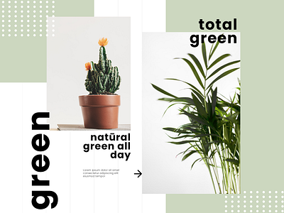 Natural Green branding coloful design illustration photoshop typography ui ui ux design ux website concept