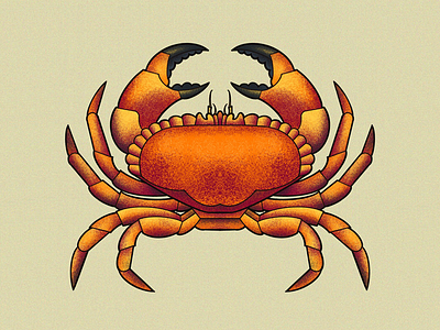 brown crab browncrab crab illustration shellfish stylised textured