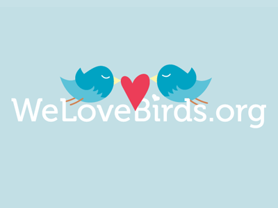 We Love Birds Logo birds blue logo