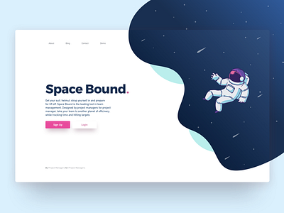 Software Landing Page Concept